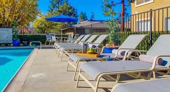 Community pool with sunbathing deck